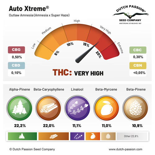 Auto Xtreme cannabinoids and terpenes